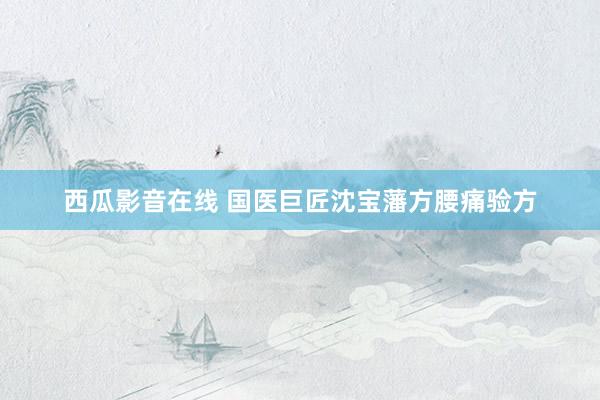 西瓜影音在线 国医巨匠沈宝藩方腰痛验方