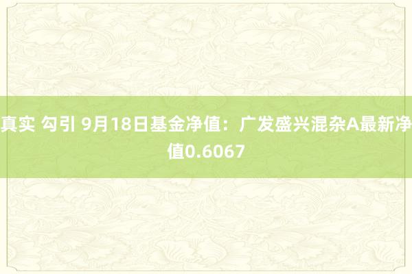 真实 勾引 9月18日基金净值：广发盛兴混杂A最新净值0.6067