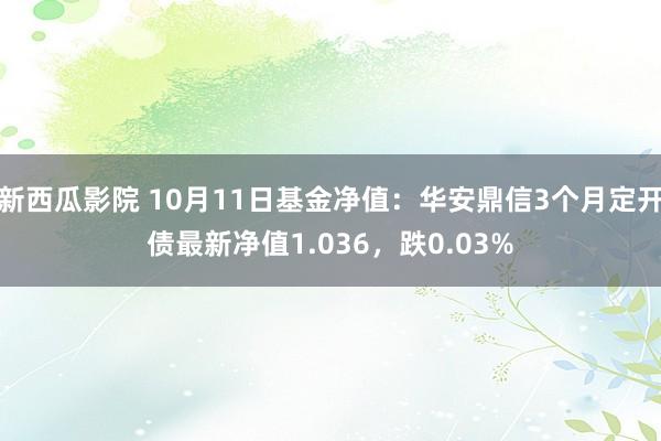 新西瓜影院 10月11日基金净值：华安鼎信3个月定开债最新净值1.036，跌0.03%