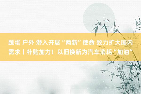 跳蛋 户外 潜入开展“两新”使命 效力扩大国内需求丨补贴加力！以旧换新为汽车消耗“加油”