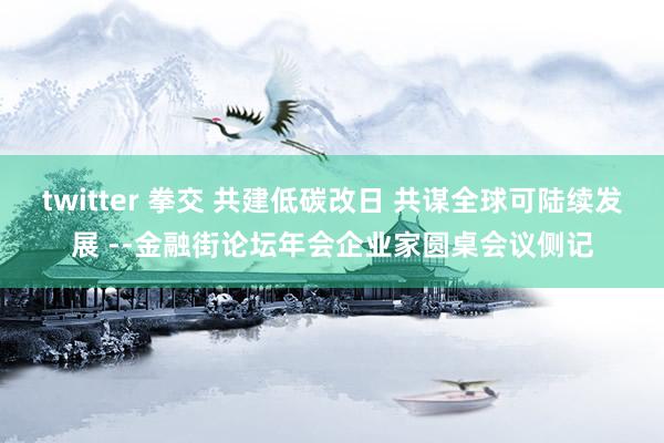 twitter 拳交 共建低碳改日 共谋全球可陆续发展 --金融街论坛年会企业家圆桌会议侧记