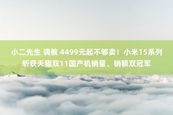 小二先生 调教 4499元起不够卖！小米15系列斩获天猫双11国产机销量、销额双冠军