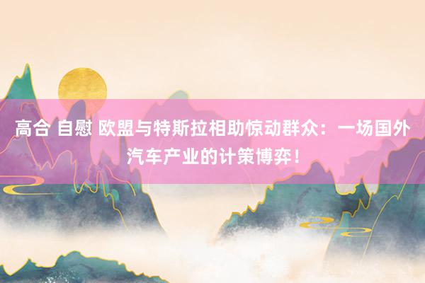 高合 自慰 欧盟与特斯拉相助惊动群众：一场国外汽车产业的计策博弈！