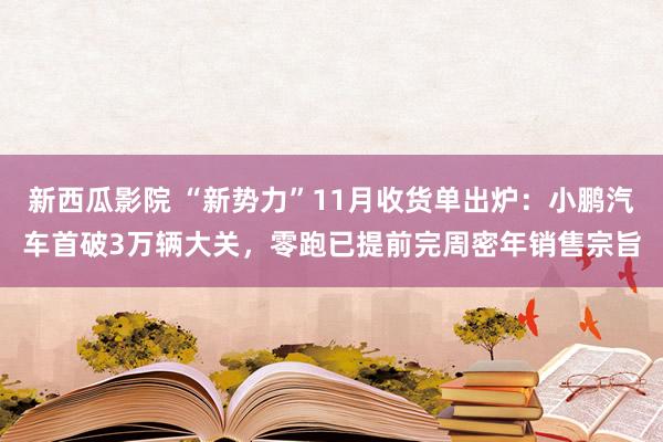 新西瓜影院 “新势力”11月收货单出炉：小鹏汽车首破3万辆大关，零跑已提前完周密年销售宗旨