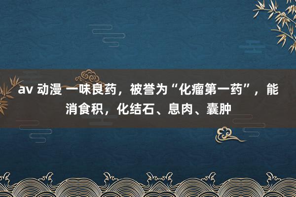 av 动漫 一味良药，被誉为“化瘤第一药”，能消食积，化结石、息肉、囊肿