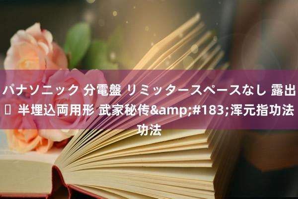パナソニック 分電盤 リミッタースペースなし 露出・半埋込両用形 武家秘传&#183;浑元指功法