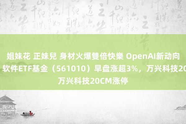姐妹花 正妹兒 身材火爆雙倍快樂 OpenAI新动向引蔼然，软件ETF基金（561010）早盘涨超3%，万兴科技20CM涨停