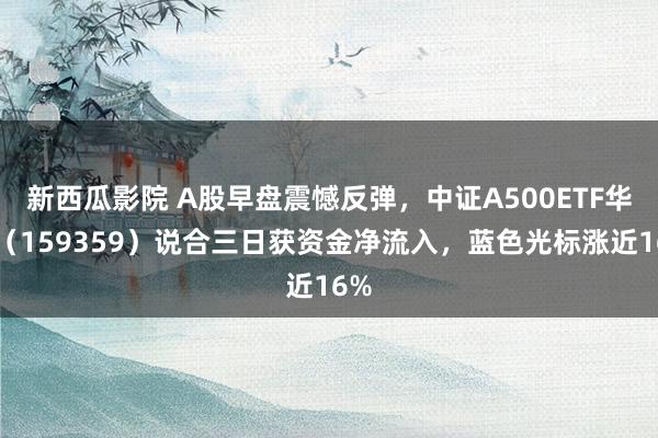 新西瓜影院 A股早盘震憾反弹，中证A500ETF华安（159359）说合三日获资金净流入，蓝色光标涨近16%