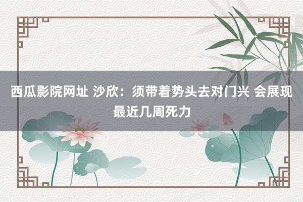 西瓜影院网址 沙欣:须带着势头去对门兴 会展现最近几周死力