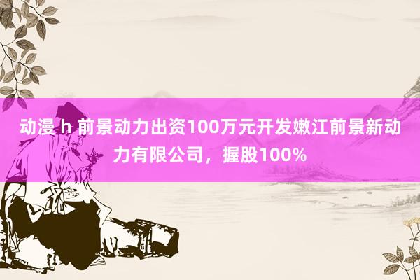 动漫 h 前景动力出资100万元开发嫩江前景新动力有限公司，握股100%