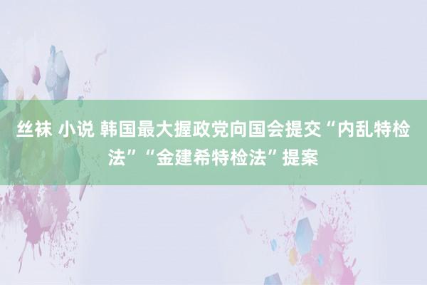 丝袜 小说 韩国最大握政党向国会提交“内乱特检法”“金建希特检法”提案