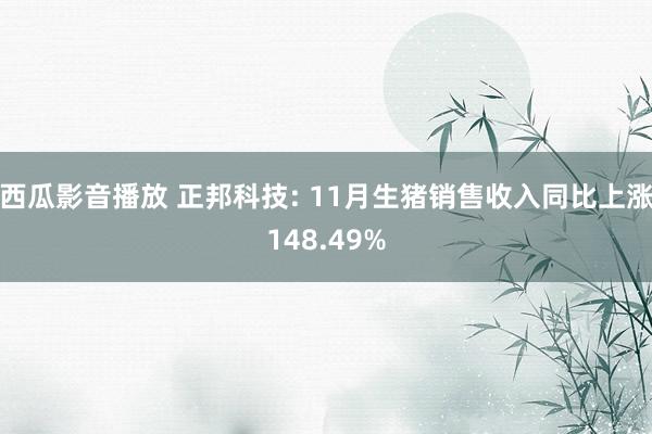 西瓜影音播放 正邦科技: 11月生猪销售收入同比上涨148.49%