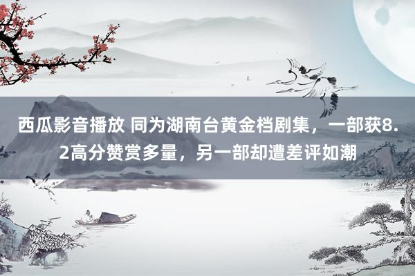 西瓜影音播放 同为湖南台黄金档剧集，一部获8.2高分赞赏多量，另一部却遭差评如潮
