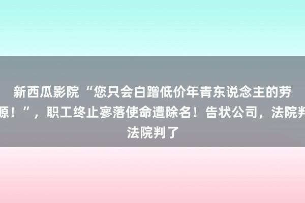 新西瓜影院 “您只会白蹭低价年青东说念主的劳能源！”，职工终止寥落使命遭除名！告状公司，法院判了
