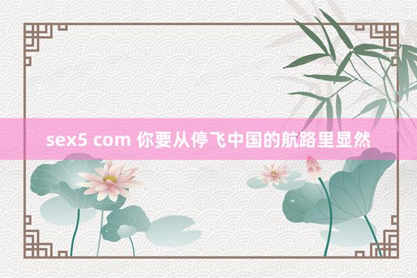 sex5 com 你要从停飞中国的航路里显然