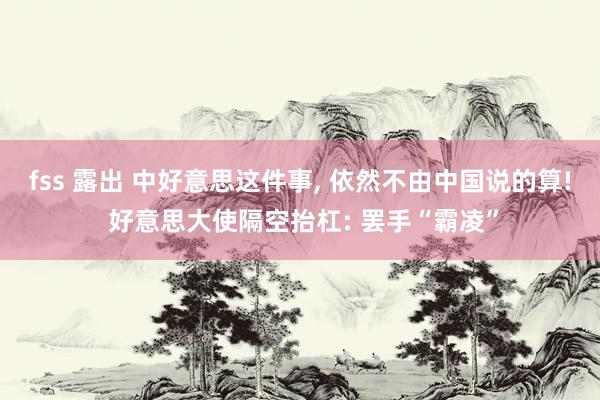 fss 露出 中好意思这件事， 依然不由中国说的算! 好意思大使隔空抬杠: 罢手“霸凌”