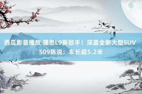 西瓜影音播放 理思L9新敌手！深蓝全新大型SUV S09陈说：车长超5.2米
