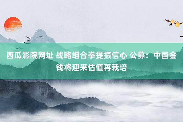 西瓜影院网址 战略组合拳提振信心 公募：中国金钱将迎来估值再栽培