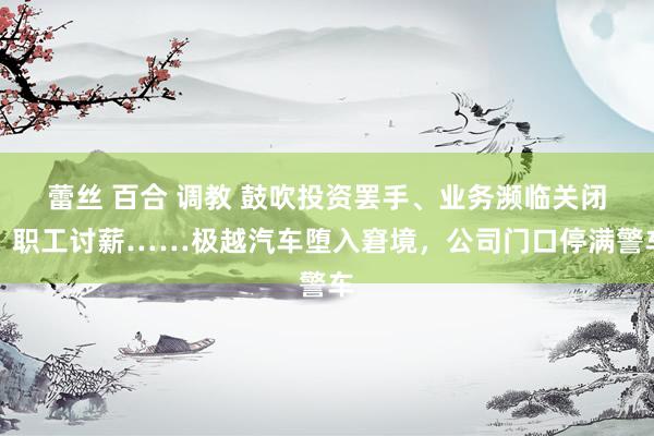 蕾丝 百合 调教 鼓吹投资罢手、业务濒临关闭、职工讨薪……极越汽车堕入窘境，公司门口停满警车