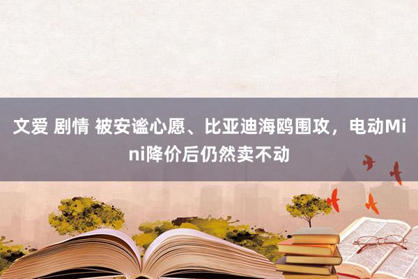 文爱 剧情 被安谧心愿、比亚迪海鸥围攻，电动Mini降价后仍然卖不动