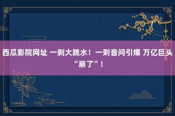 西瓜影院网址 一刹大跳水！一则音问引爆 万亿巨头“崩了”！