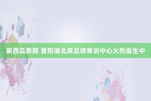 新西瓜影院 晋阳湖北岸足球青训中心火热诞生中