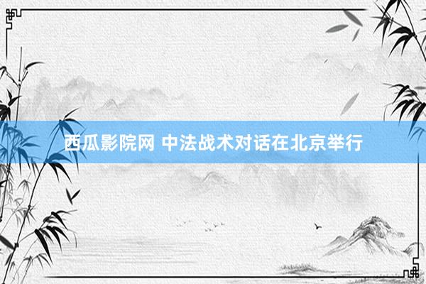 西瓜影院网 中法战术对话在北京举行
