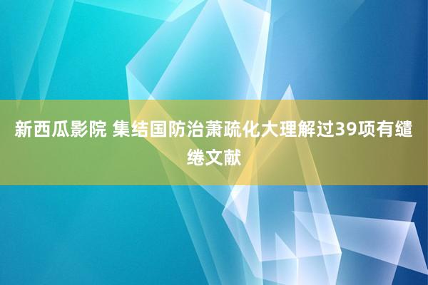 新西瓜影院 集结国防治萧疏化大理解过39项有缱绻文献