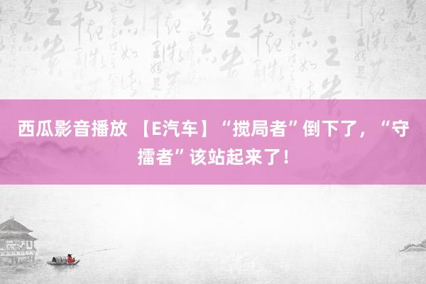 西瓜影音播放 【E汽车】“搅局者”倒下了，“守擂者”该站起来了！