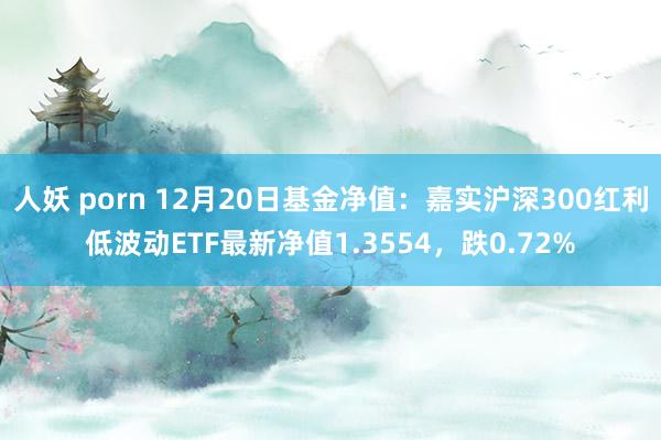人妖 porn 12月20日基金净值：嘉实沪深300红利低波动ETF最新净值1.3554，跌0.72%