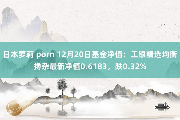日本萝莉 porn 12月20日基金净值：工银精选均衡搀杂最新净值0.6183，跌0.32%