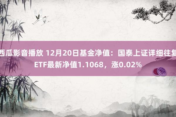 西瓜影音播放 12月20日基金净值：国泰上证详细往复ETF最新净值1.1068，涨0.02%