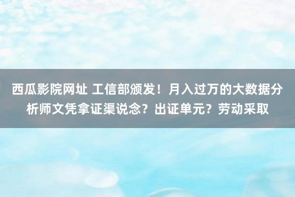 西瓜影院网址 工信部颁发！月入过万的大数据分析师文凭拿证渠说念？出证单元？劳动采取
