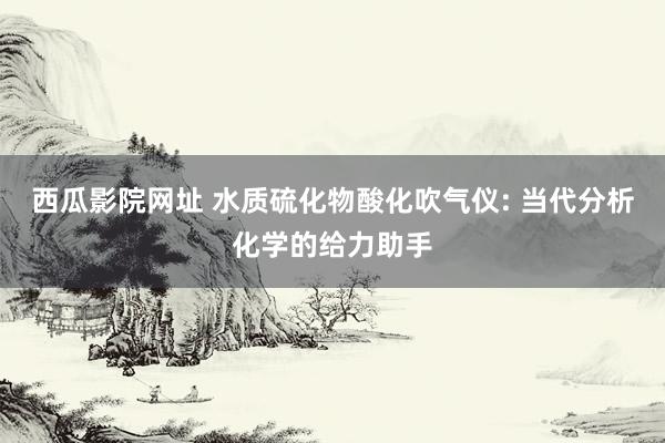 西瓜影院网址 水质硫化物酸化吹气仪: 当代分析化学的给力助手
