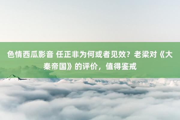 色情西瓜影音 任正非为何或者见效？老梁对《大秦帝国》的评价，值得鉴戒