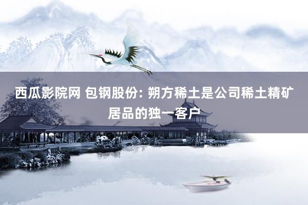 西瓜影院网 包钢股份: 朔方稀土是公司稀土精矿居品的独一客户