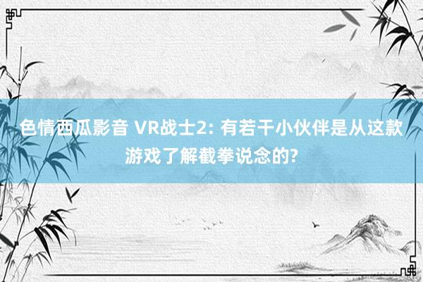 色情西瓜影音 VR战士2: 有若干小伙伴是从这款游戏了解截拳说念的?