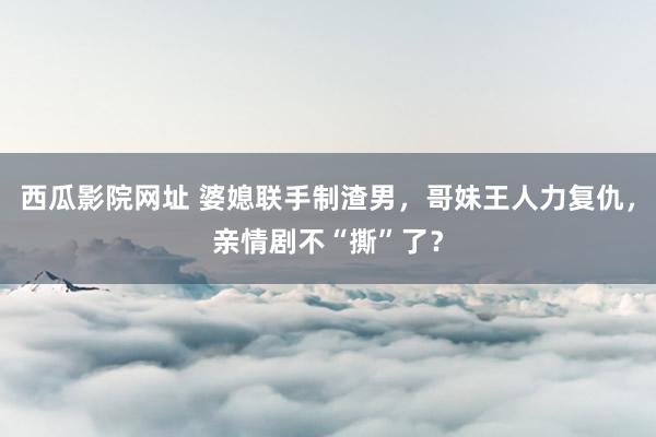 西瓜影院网址 婆媳联手制渣男，哥妹王人力复仇，亲情剧不“撕”了？