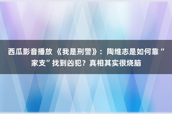 西瓜影音播放 《我是刑警》：陶维志是如何靠“家支”找到凶犯？真相其实很烧脑