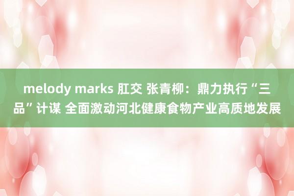 melody marks 肛交 张青柳：鼎力执行“三品”计谋 全面激动河北健康食物产业高质地发展