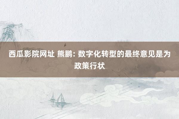 西瓜影院网址 熊鹏: 数字化转型的最终意见是为政策行状