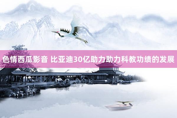 色情西瓜影音 比亚迪30亿助力助力科教功绩的发展