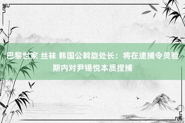 巴黎世家 丝袜 韩国公斡旋处长：将在逮捕令灵验期内对尹锡悦本质捏捕