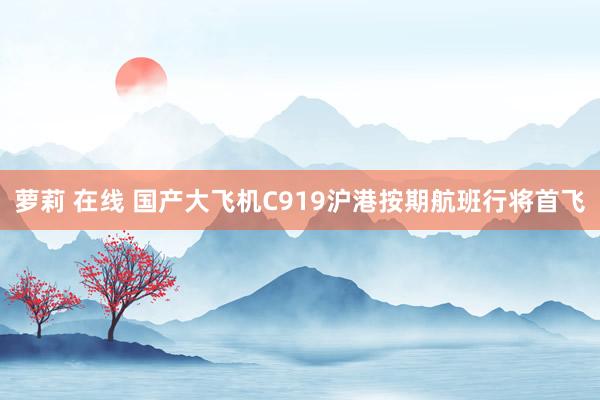 萝莉 在线 国产大飞机C919沪港按期航班行将首飞