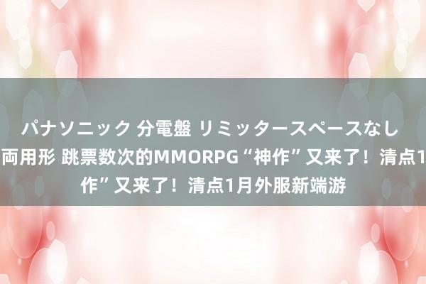 パナソニック 分電盤 リミッタースペースなし 露出・半埋込両用形 跳票数次的MMORPG“神作”又来了！清点1月外服新端游