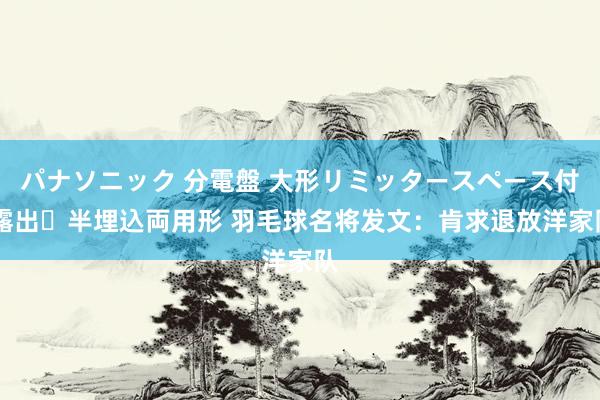 パナソニック 分電盤 大形リミッタースペース付 露出・半埋込両用形 羽毛球名将发文：肯求退放洋家队
