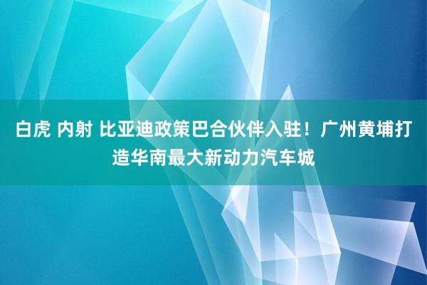 白虎 内射 比亚迪政策巴合伙伴入驻！广州黄埔打造华南最大新动力汽车城