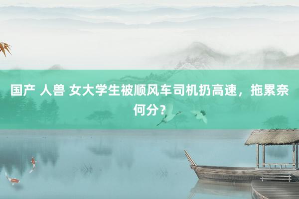 国产 人兽 女大学生被顺风车司机扔高速，拖累奈何分？