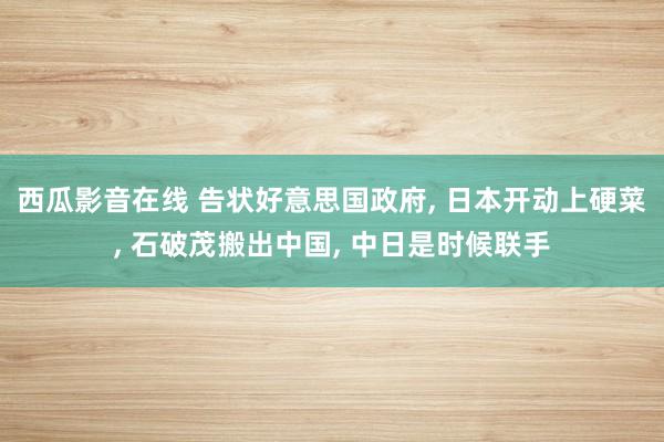 西瓜影音在线 告状好意思国政府， 日本开动上硬菜， 石破茂搬出中国， 中日是时候联手