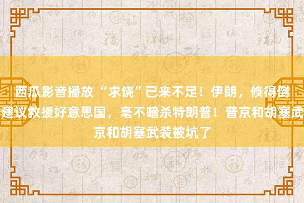 西瓜影音播放 “求饶”已来不足！伊朗，倏得倒戈？主动建议救援好意思国，毫不暗杀特朗普！普京和胡塞武装被坑了